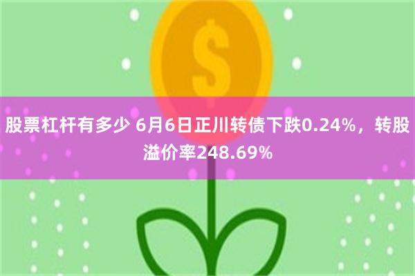 股票杠杆有多少 6月6日正川转债下跌0.24%，转股溢价率248.69%