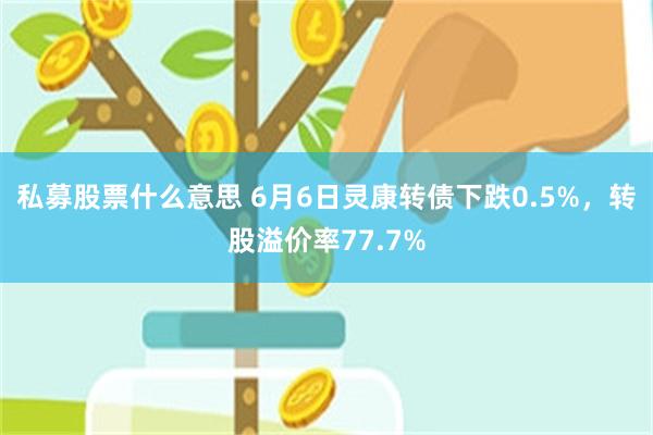 私募股票什么意思 6月6日灵康转债下跌0.5%，转股溢价率77.7%