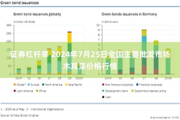 证券杠杆率 2024年7月25日全国主要批发市场木耳菜价