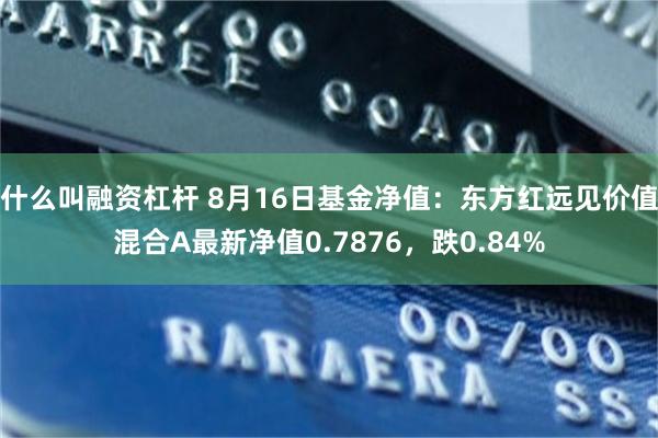 什么叫融资杠杆 8月16日基金净值：东方红远见价值混合A最新净值0.7876，跌0.84%