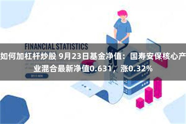 如何加杠杆炒股 9月23日基金净值：国寿安保核心产业混合最新净值0.631，涨0.32%