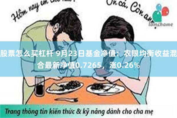 股票怎么买杠杆 9月23日基金净值：农银均衡收益混合最新净值0.7265，涨0.26%