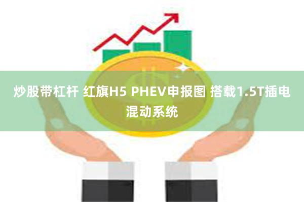 炒股带杠杆 红旗H5 PHEV申报图 搭载1.5T插电混动系统