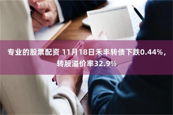 专业的股票配资 11月18日禾丰转债下跌0.44%，转股溢价率32.9%