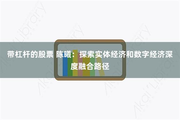 带杠杆的股票 陈曦：探索实体经济和数字经济深度融合路径