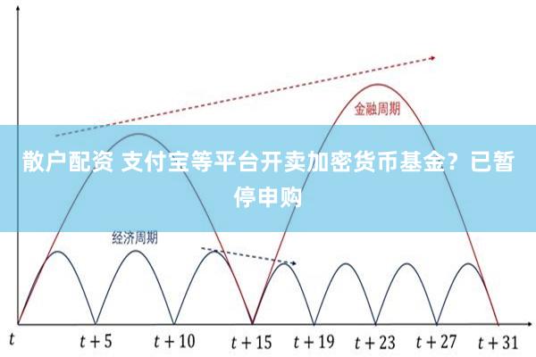 散户配资 支付宝等平台开卖加密货币基金？已暂停申购